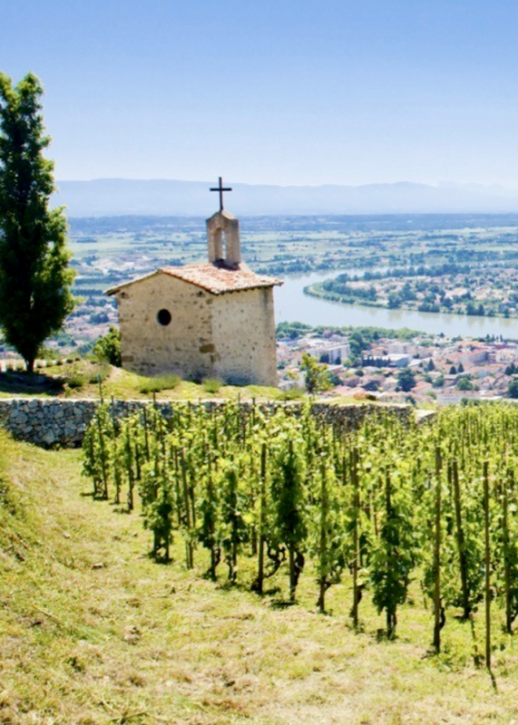 Msquare Wine | Hong Kong's Best Value Champagne, Wine & Spirits Online Shop