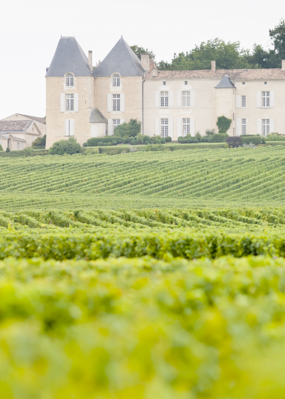 Msquare Wine | Hong Kong's Best Value Champagne, Wine & Spirits Online Shop