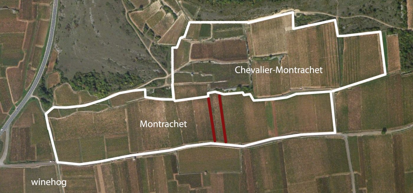 Msquare Wine | Hong Kong's Best Value Champagne, Wine & Spirits Online Shop