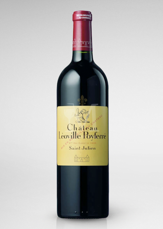 Msquare Wine | Hong Kong's Best Value Champagne, Wine & Spirits Online Shop