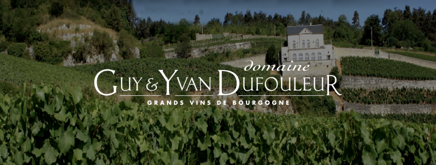 Msquare Wine | Hong Kong's Best Value Champagne, Wine & Spirits Online Shop