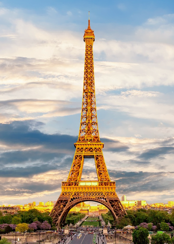 Msquare Wine | Hong Kong's Best Value Champagne, Wine & Spirits Online Shop