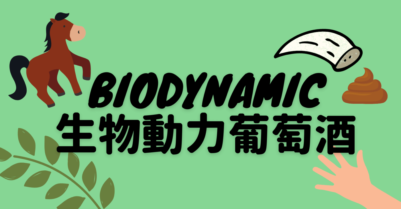 Msquare Wine | Hong Kong's Best Value Champagne, Wine & Spirits Online Shop