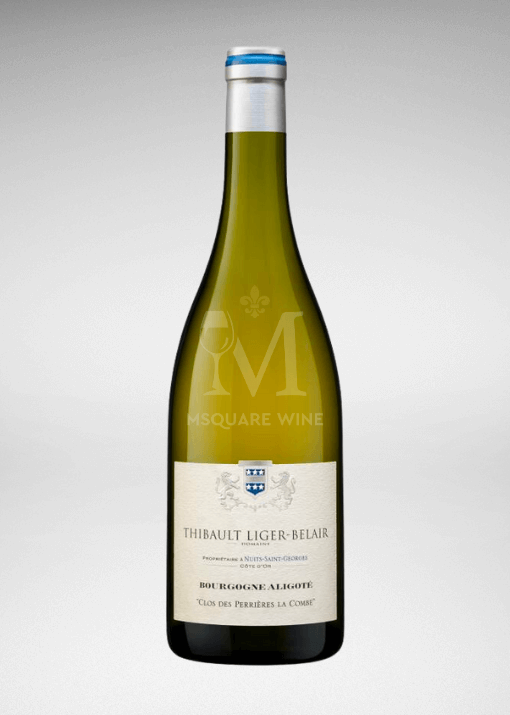 Msquare Wine | Hong Kong's Best Value Champagne, Wine & Spirits Online Shop